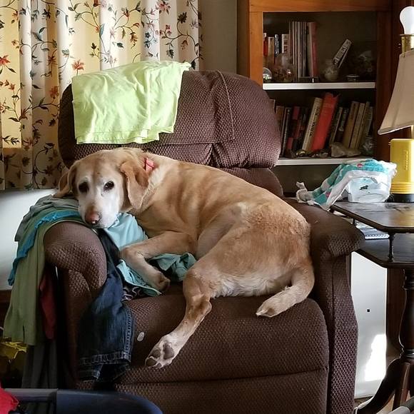 Meet your Posher, Roberta - Picture 1 of 1